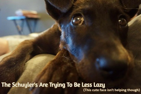 11129916_10103460010712830_7839805534133487215_n