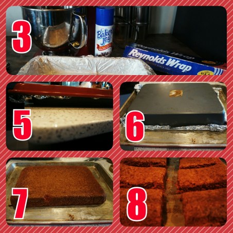 PhotoGrid_1435547263258