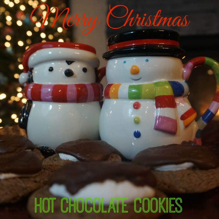 Hot Chocolate Cookies